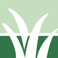 Lawn Weed Control Pros