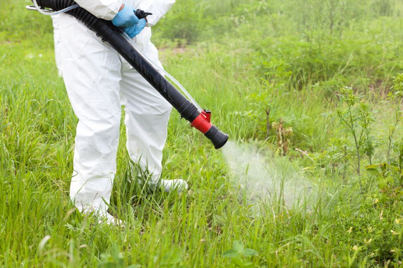 Lawn Weed Control