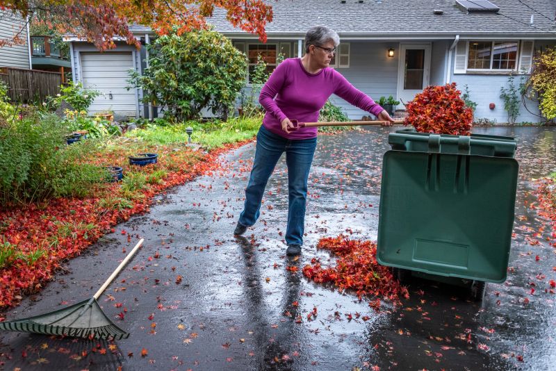 Raking Leaves