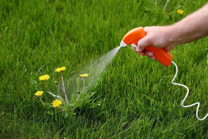 Lawn Weed Control