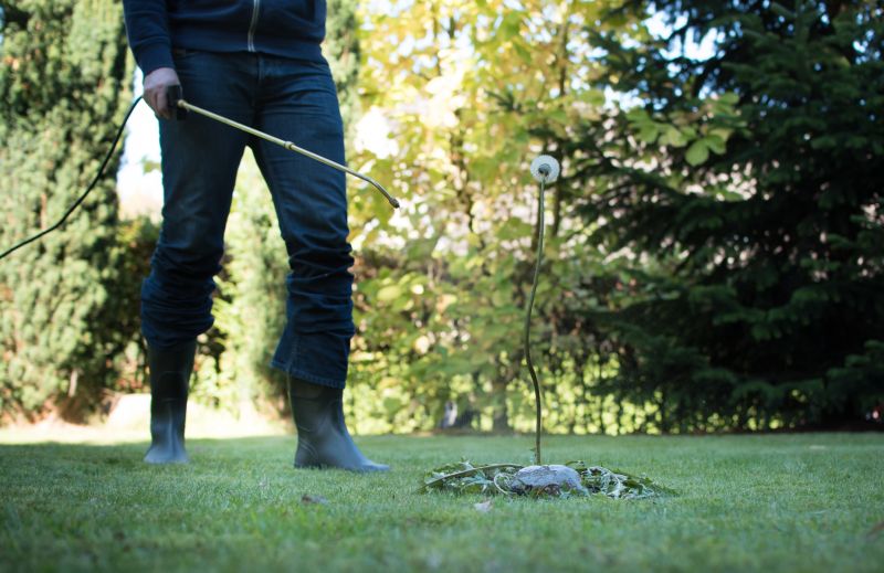 Lawn Weed Control