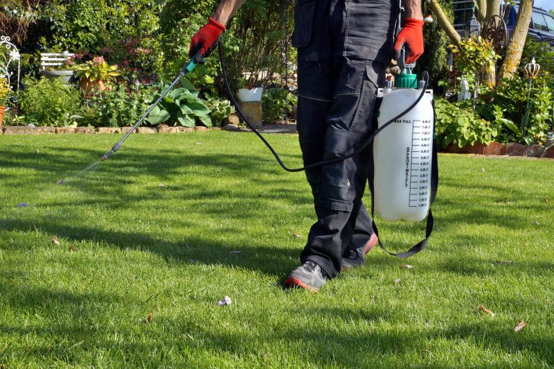 Lawn Weed Control Equipment