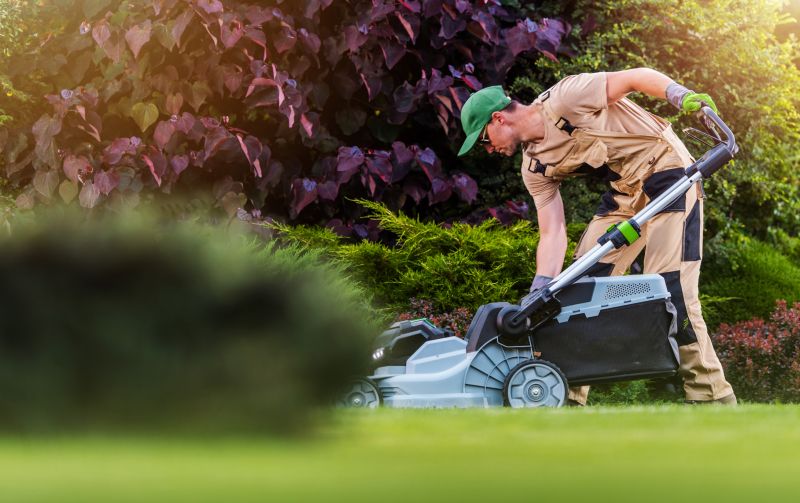 Lawn Maintenance Advice